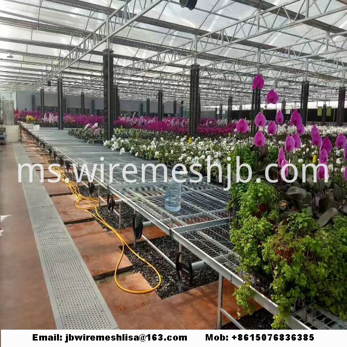 Galvanized Welded Wire Mesh Greenhouse Rolling Benches